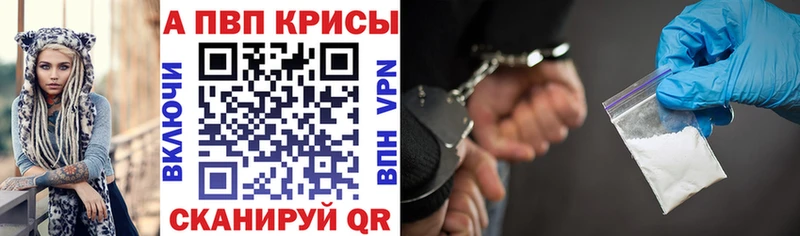 omg зеркало Обь Альфа ПВП СК КРИС