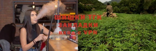 стаф Беломорск